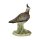 Kiebitz klein, Vogel des Jahres 2024, Goebel